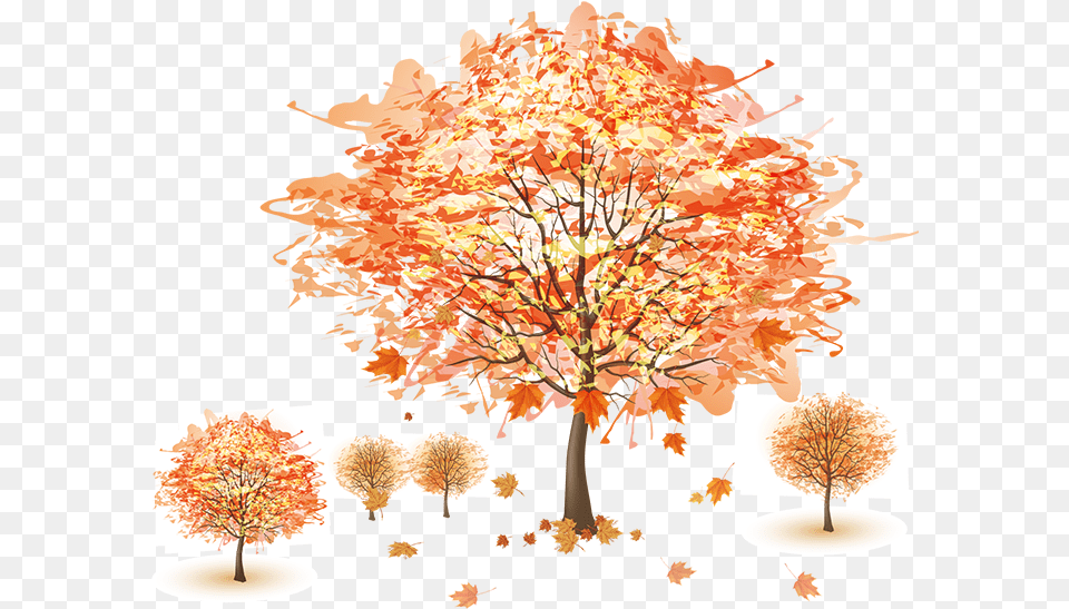 Cute Mac Wallpapers Hd, Leaf, Maple, Plant, Tree Png