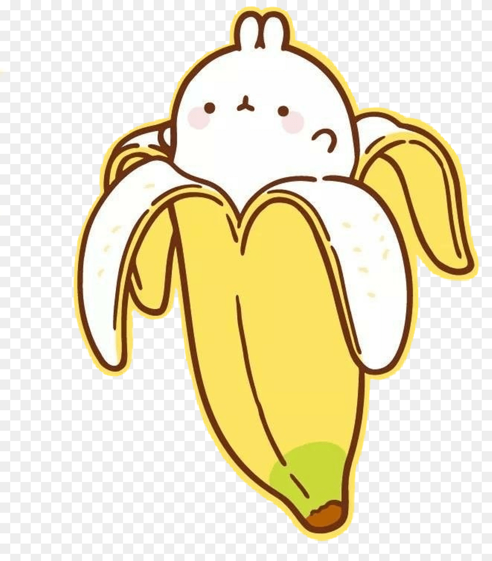 Cute Molang Wallpapers Hd Download Banana Bunny, Food, Fruit, Plant, Produce Png