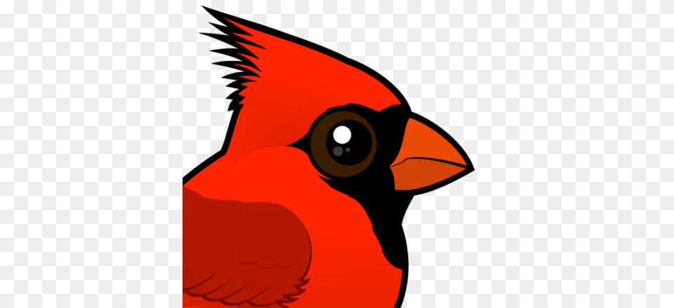 Cute Northern Cardinal, Animal, Beak, Bird, Nature Free Transparent Png
