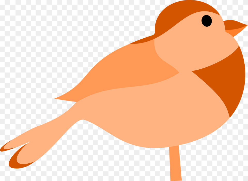 Cute Orange Bird Cartoon Clipart, Animal, Finch, Canary Free Transparent Png