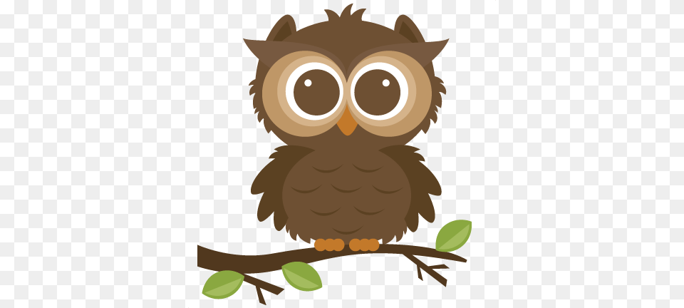 Cute Owl Clip Art, Animal, Bird, Kangaroo, Mammal Png