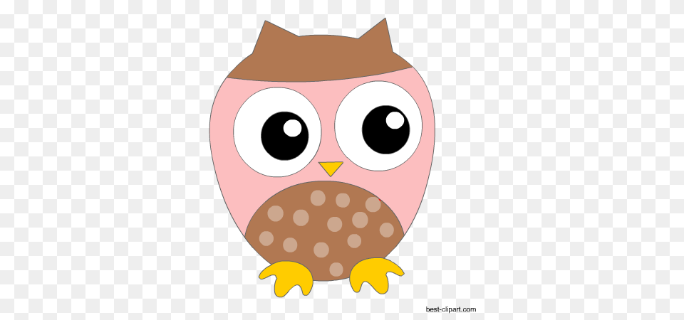 Cute Owl Clip Art Images Illstrations And Graphics, Animal, Fish, Sea Life, Shark Free Png