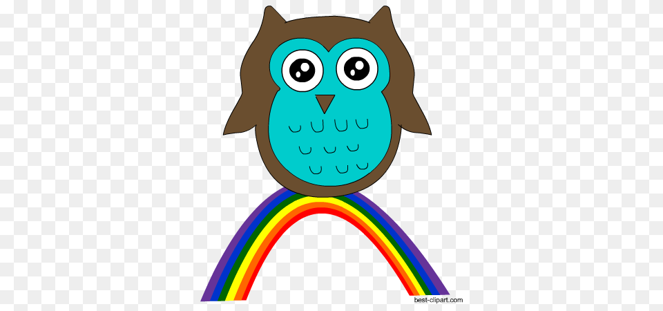 Cute Owl Clip Art Images Illstrations And Graphics, Animal, Bird, Face, Head Free Transparent Png