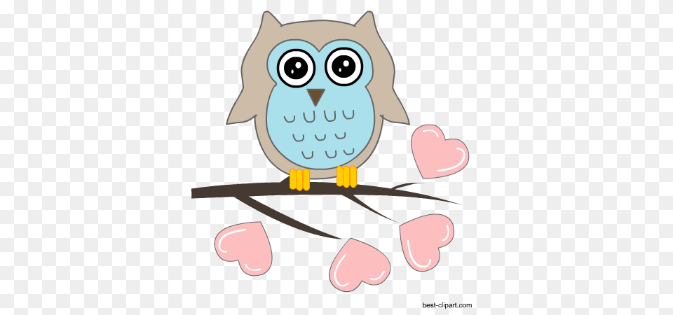 Cute Owl Clip Art Images Illstrations And Graphics, Animal, Bird Free Png