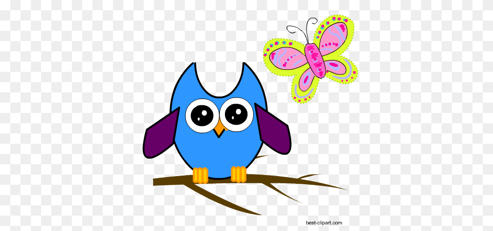 Cute Owl Clip Art Images Illstrations And Graphics, Face, Head, Person, Animal Free Png