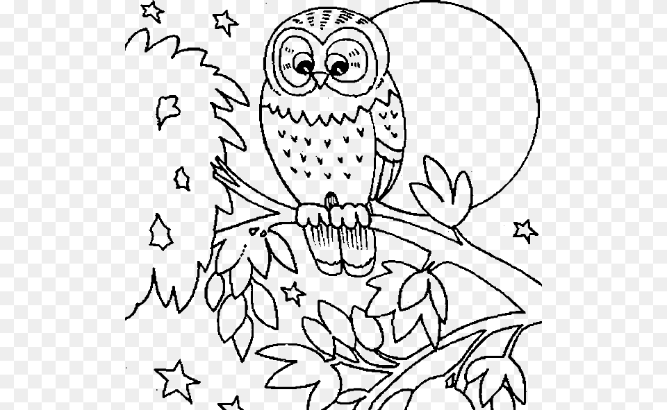 Cute Owl Coloring Pages Printable Fall Animal Coloring Pages, Art, Doodle, Drawing, Bird Free Png
