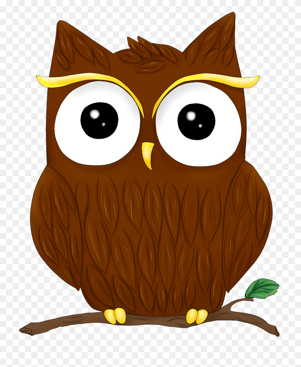 Cute Owl On Branch Clipart, Animal, Bird, Nature, Outdoors Free Png