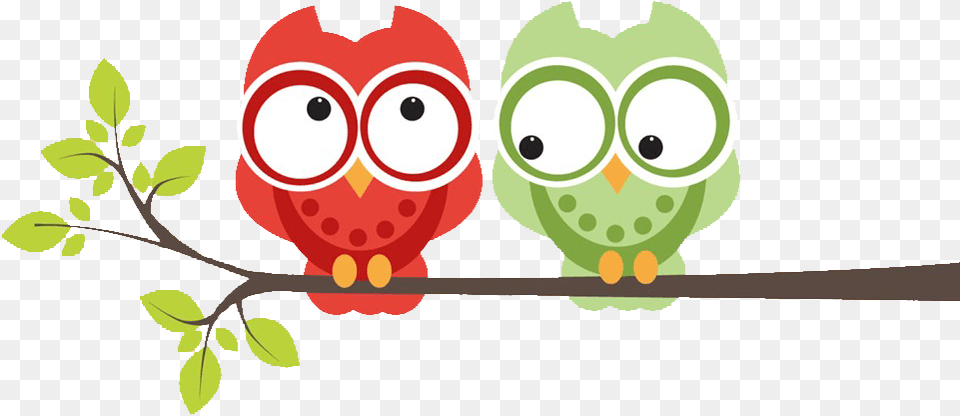 Cute Owls, Leaf, Plant, Baby, Person Free Png Download