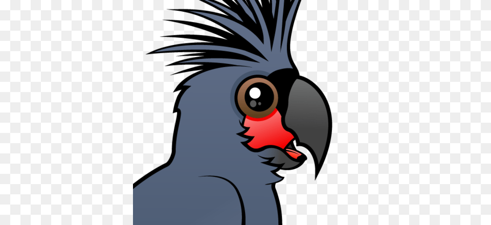 Cute Palm Cockatoo, Animal, Beak, Bird, Vulture Free Png