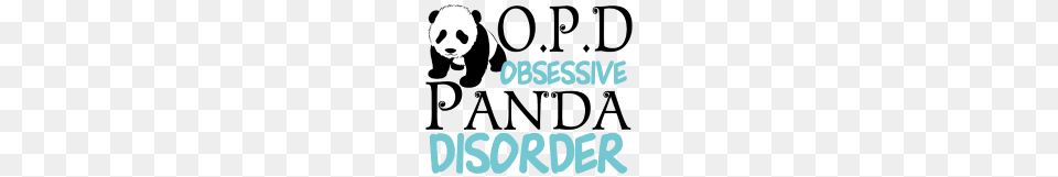 Cute Panda, Animal, Wildlife, Bear, Giant Panda Free Png