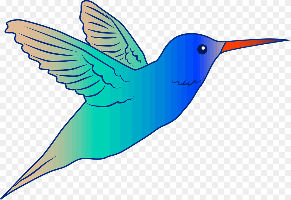 Cute Parrot Clipart Flying Bird Hummingbird Illustration Free, Animal, Fish, Sea Life, Shark Png