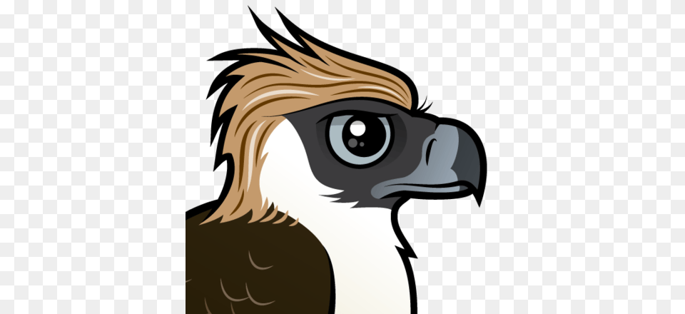 Cute Philippine Eagle, Animal, Beak, Bird, Vulture Free Png