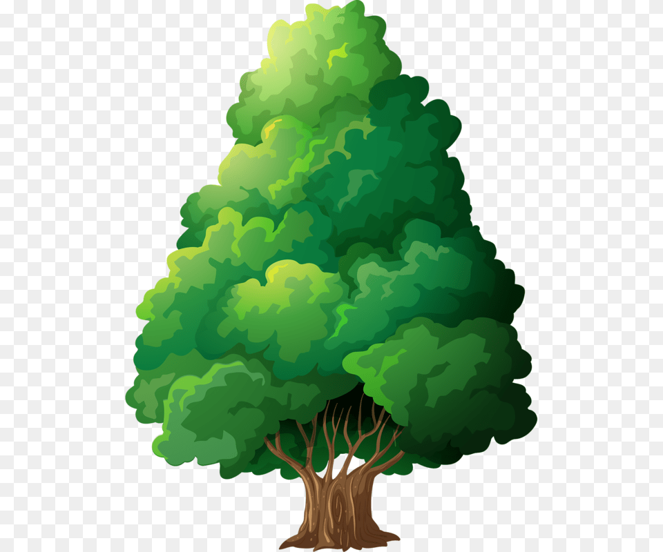 Cute Picture Tree Cartoon Trees And Art, Green, Plant, Conifer, Vegetation Free Png Download
