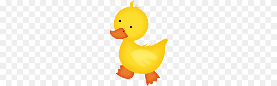 Cute Pictures Animals, Animal, Bird, Duck, Beak Free Png Download