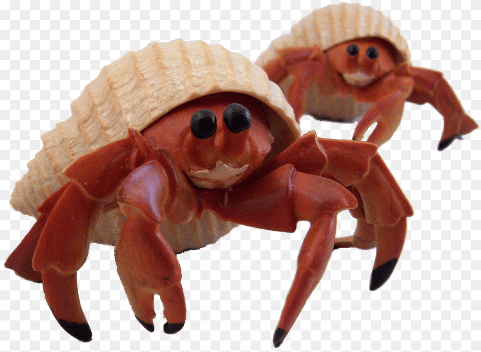 Cute Pictures Of Hermit Crabs, Animal, Sea Life, Seafood, Food Free Transparent Png