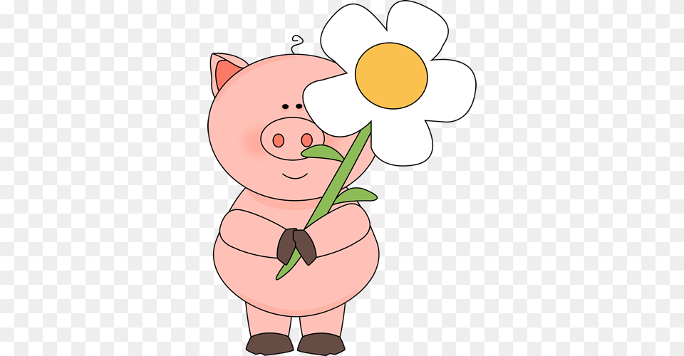 Cute Pig Face Clip Art, Head, Person, Smelling, Flower Png Image