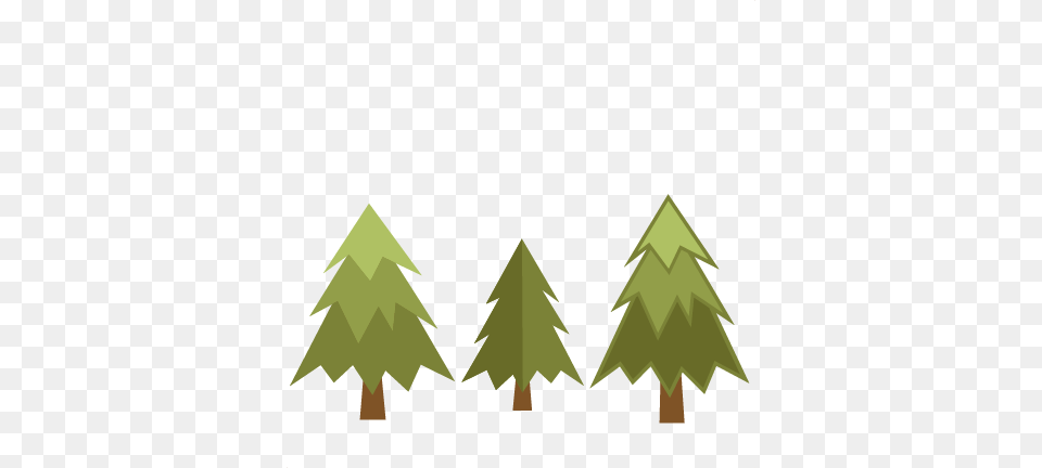 Cute Pine Tree Clipart, Green, Plant, Fir, Leaf Png