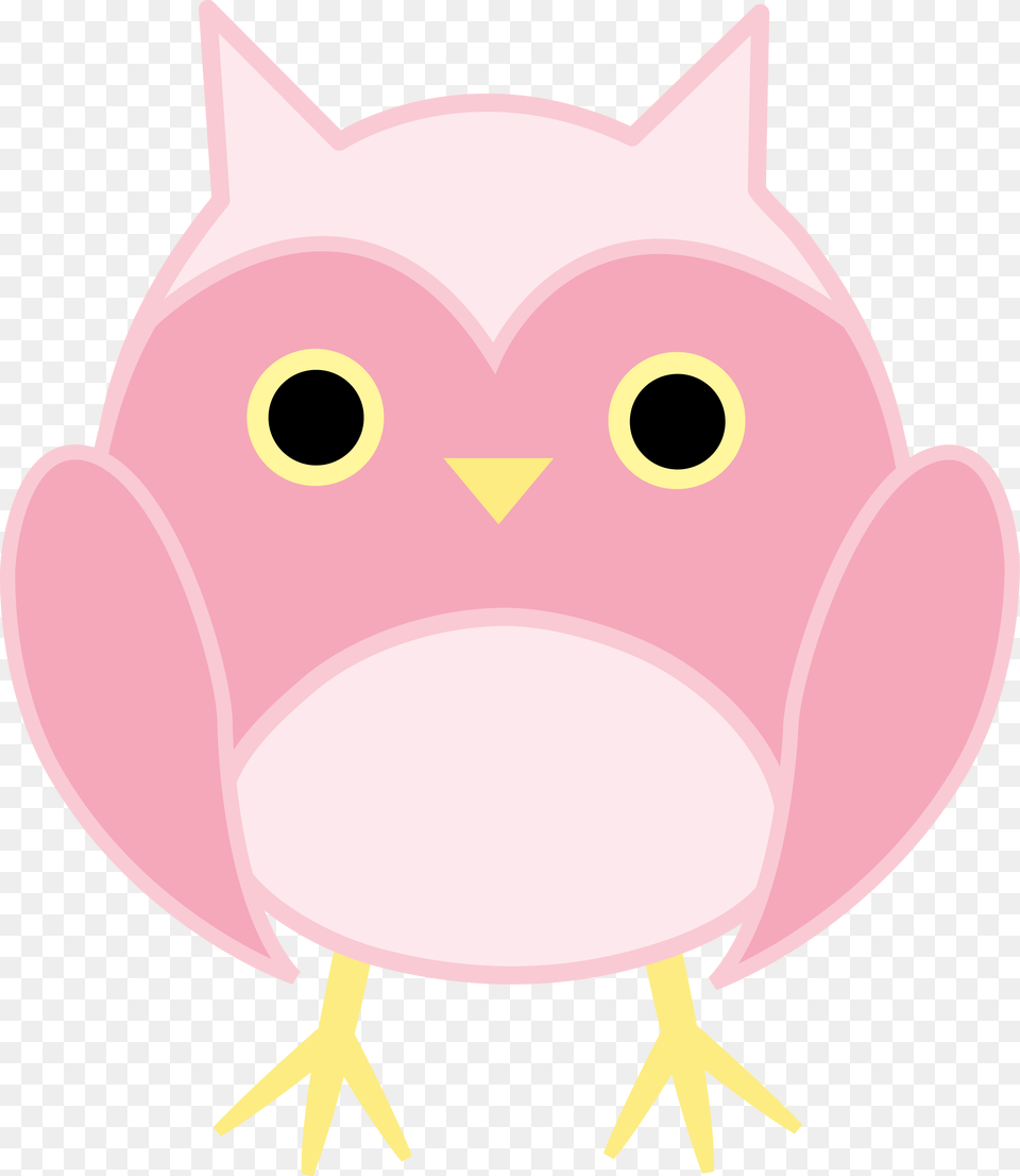 Cute Pink Owl, Animal, Bear, Mammal, Wildlife Free Transparent Png