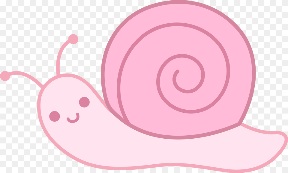 Cute Pink Snail Black And White Snail, Animal, Invertebrate Free Png Download