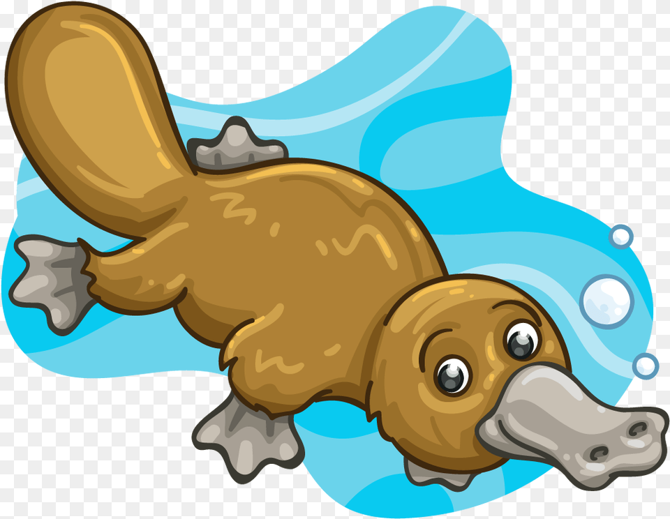 Cute Platypus Clipart, Animal, Mammal, Rodent, Wildlife Free Transparent Png