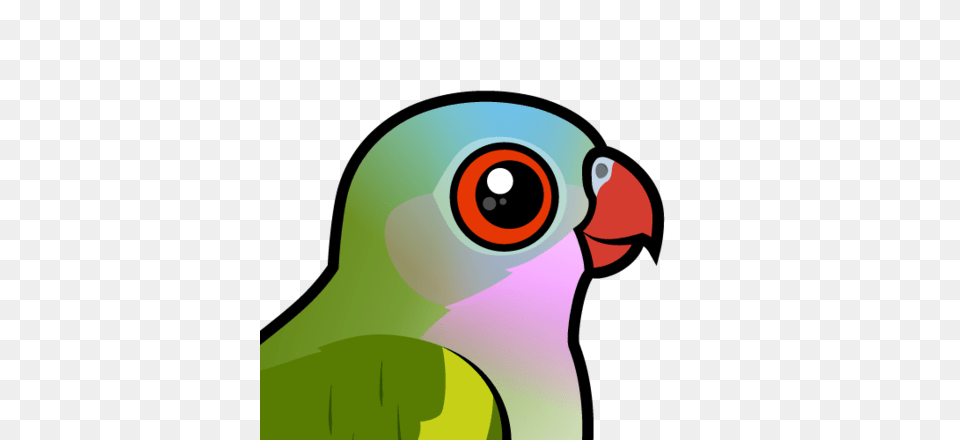 Cute Princess Parrot, Animal, Beak, Bird, Parakeet Free Transparent Png