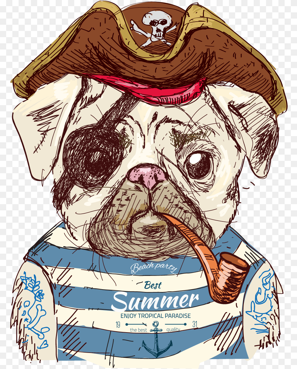 Cute Pug Dog Illustration Pirate Drawing Clipart Pirate Pug, Adult, Male, Man, Person Free Png