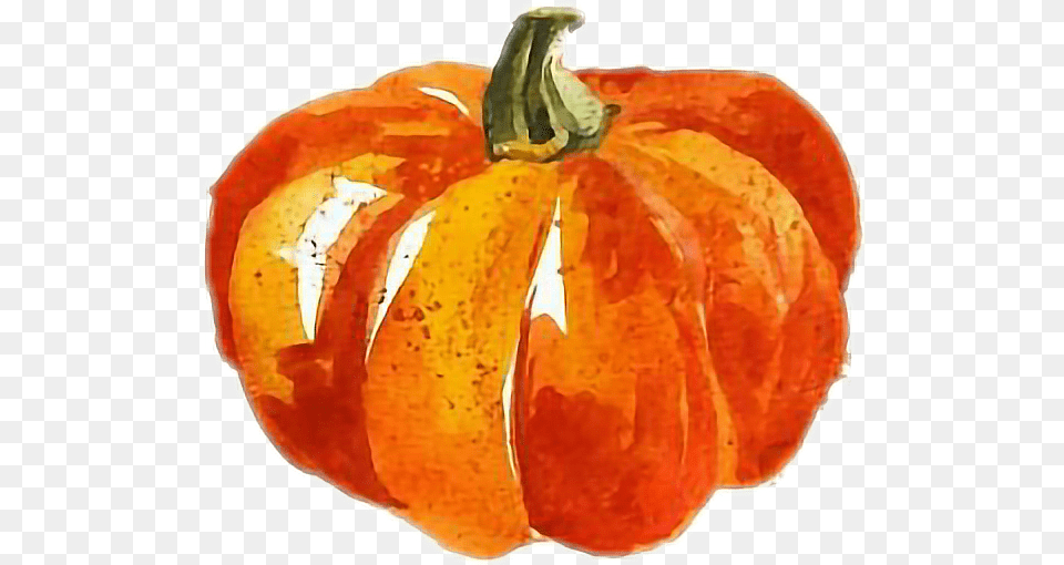 Cute Pumpkin Watercolor, Food, Plant, Produce, Vegetable Png Image