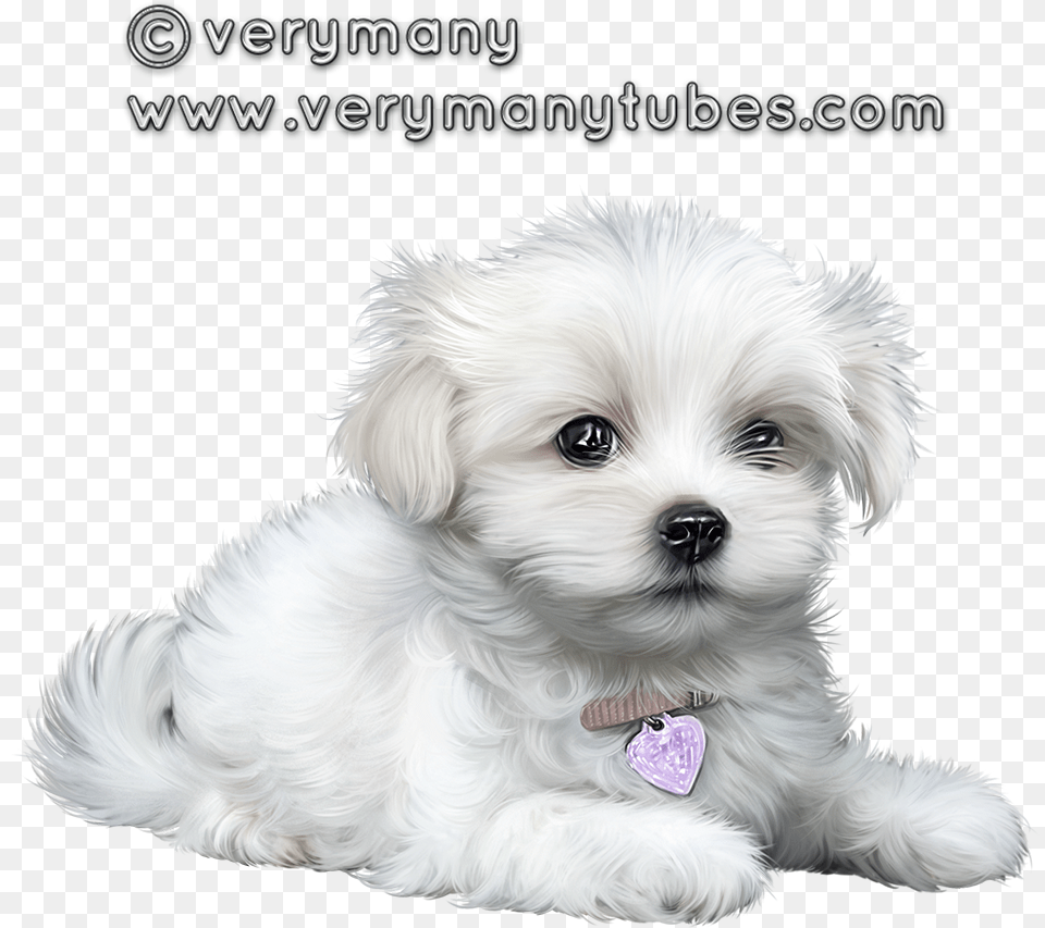 Cute Puppies Clip Art Animaux Cutest Dogs Illustrations Dog, Animal, Canine, Mammal, Pet Free Png Download