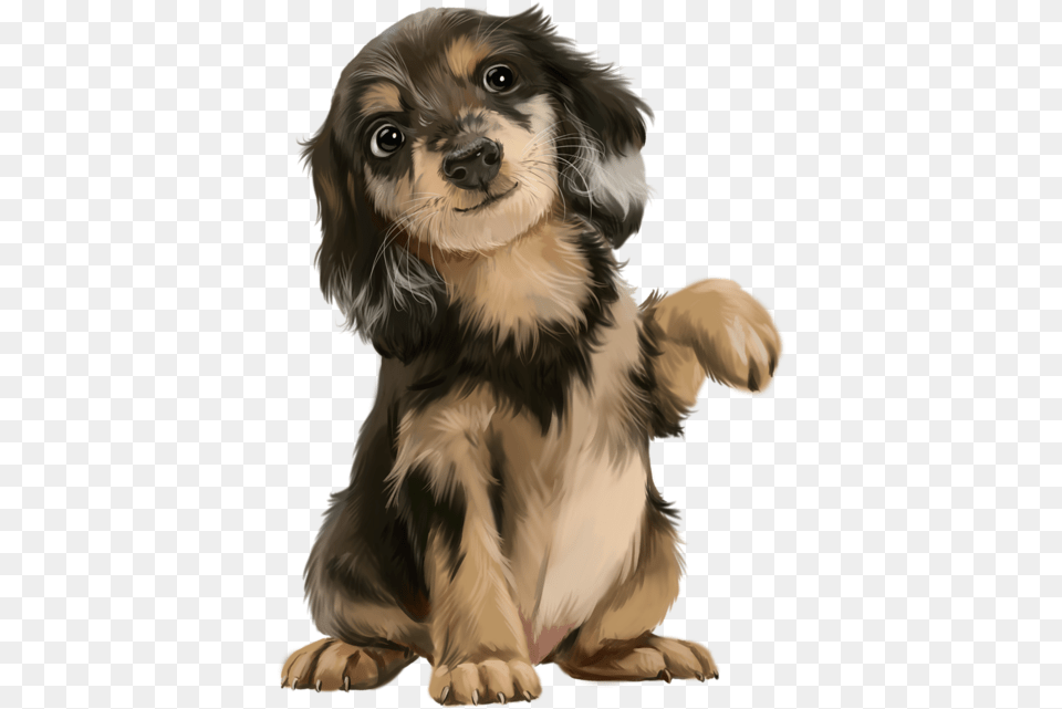 Cute Puppy Transparent, Animal, Canine, Dog, Mammal Free Png