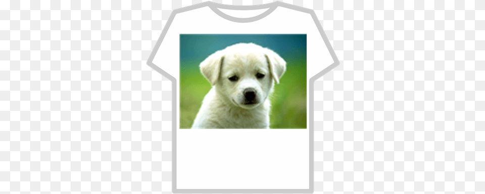 Cute Puppydogwallpaperpuppies1 Roblox Handle Every Situation Like A Dog Quote, T-shirt, Clothing, Animal, Puppy Free Transparent Png