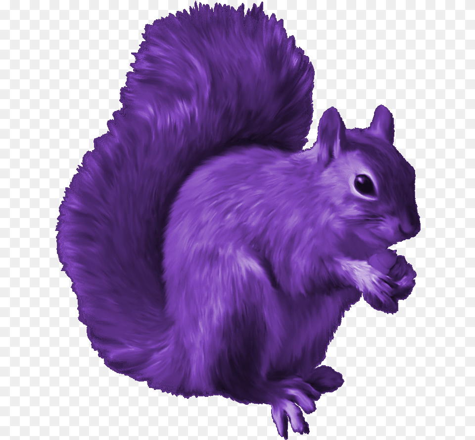 Cute Purple Squirrel Clipart Tupai, Animal, Mammal, Rodent, Bird Free Png Download