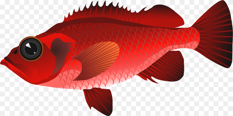 Cute Red Fish Clipart Red Fish Clipart, Animal, Sea Life, Shark Free Png Download