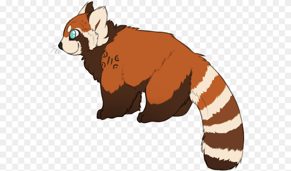 Cute Red Panda Illustration Red Panda Tail Drawing, Animal, Mammal, Lesser Panda, Wildlife Free Png Download