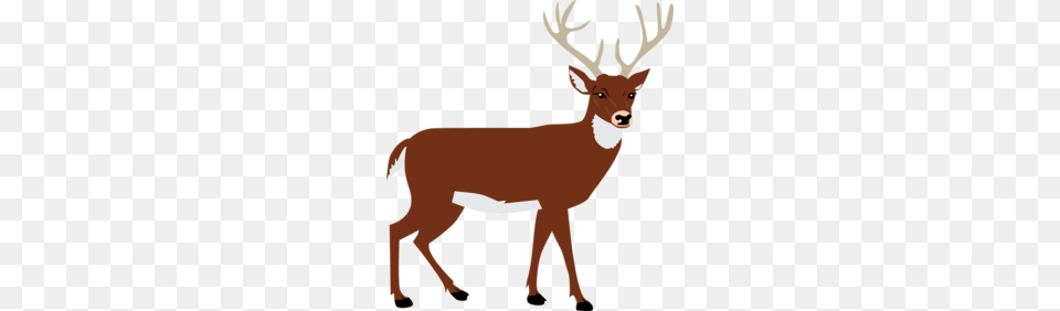 Cute Reindeer Clipart, Animal, Deer, Mammal, Wildlife Free Transparent Png