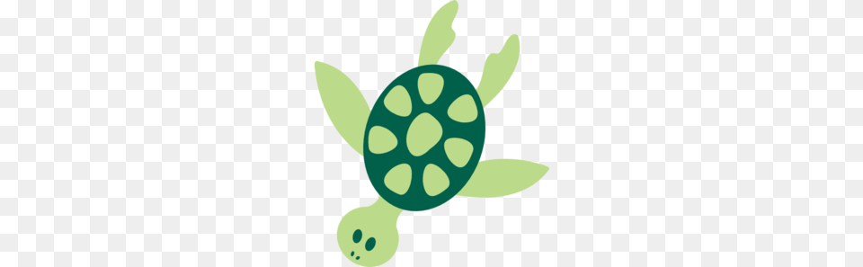 Cute Sea Clipart, Animal, Reptile, Sea Life, Tortoise Png Image