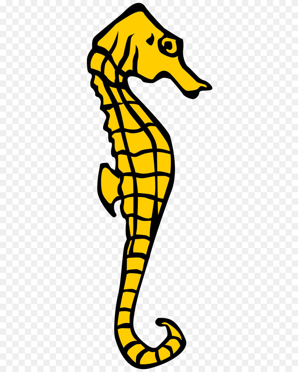 Cute Seahorse Clipart Images Pictures, Animal, Mammal, Sea Life Free Png Download