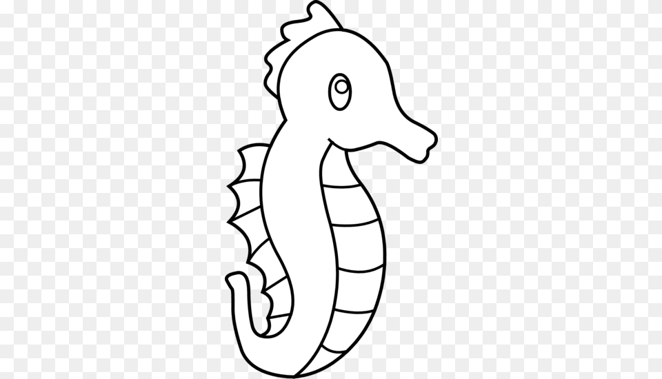 Cute Seahorse Line Art, Animal, Baby, Person, Sea Life Png Image