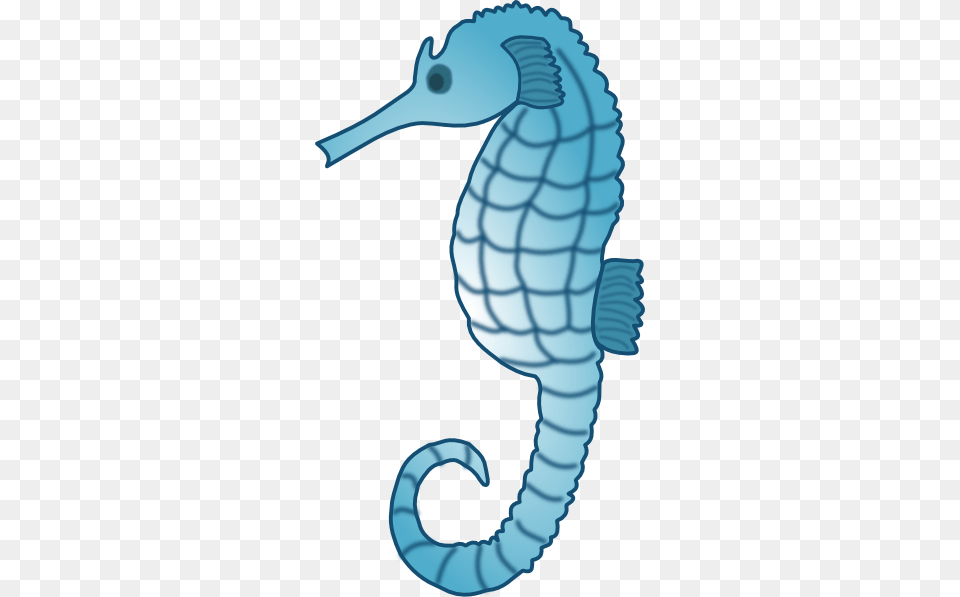 Cute Seahorse Photo, Animal, Sea Life, Mammal, Rat Free Png