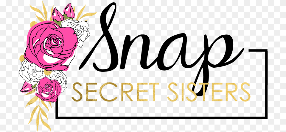 Cute Secret Sister Gift Ideas, Art, Plant, Pattern, Graphics Png
