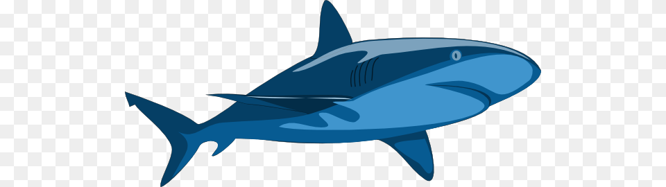 Cute Shark Clip Art, Animal, Fish, Sea Life Png Image