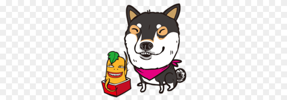 Cute Shiba Inu, Animal, Mammal, Pig Free Transparent Png