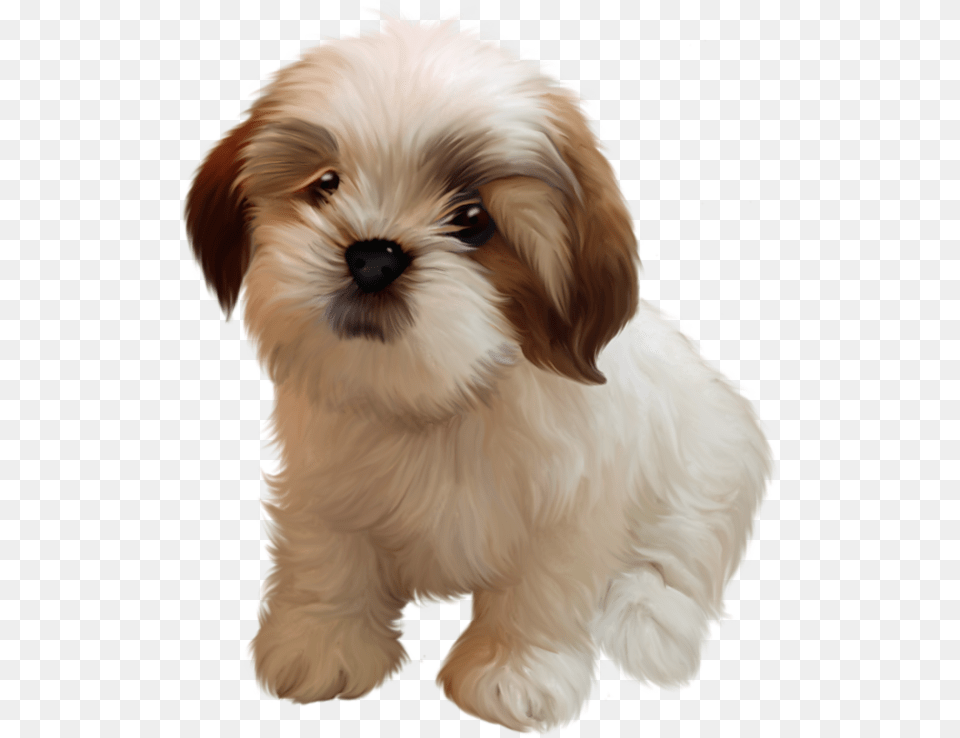 Cute Shih Tzu Clipart, Animal, Canine, Dog, Mammal Free Png Download