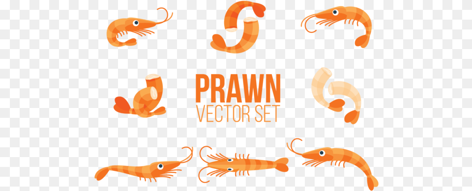 Cute Shrimp Vector, Food, Seafood, Animal, Sea Life Free Png
