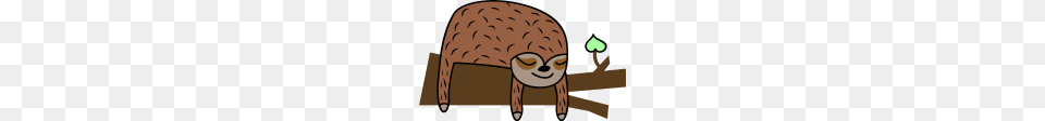 Cute Sloth, Baby, Person, Face, Head Free Png