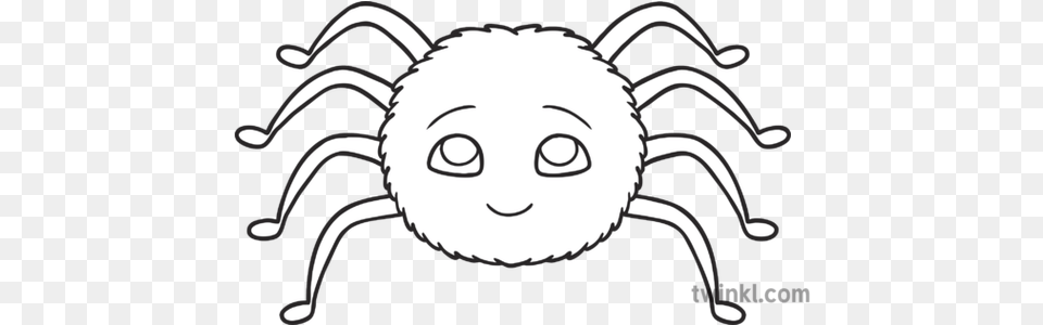Cute Spider Minibeasts Eyfs Black And White Rgb Illustration Line Art, Face, Head, Person, Baby Png