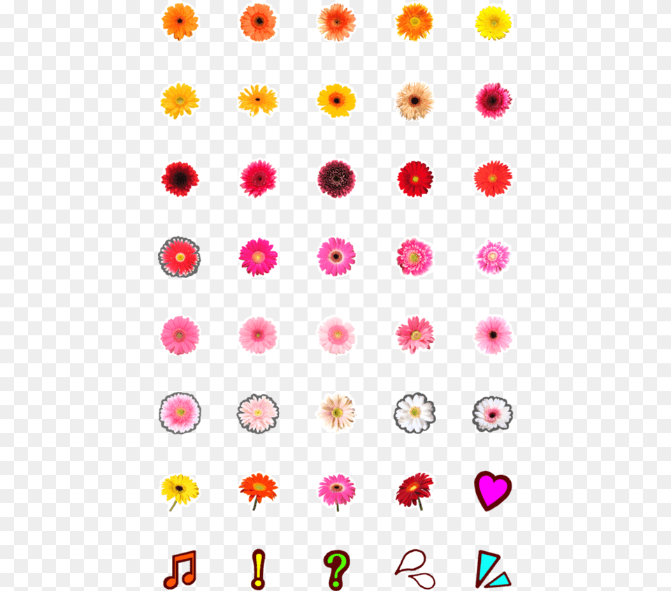 Cute Star Border, Flower, Petal, Plant, Daisy Free Png Download