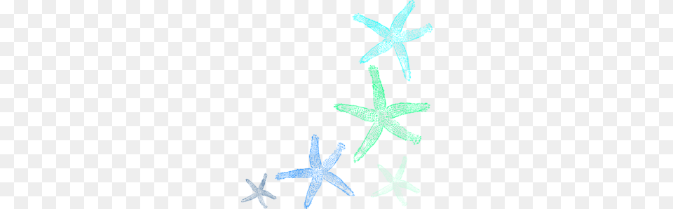 Cute Starfish Clipart, Animal, Sea Life, Invertebrate, Person Free Png