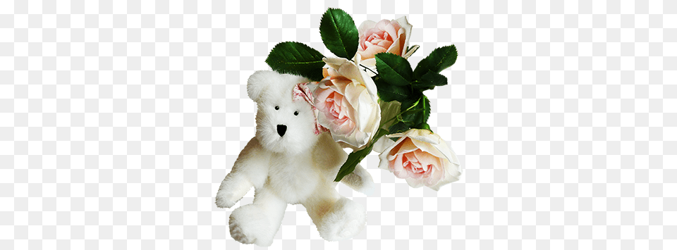 Cute Teddy Bear Clipart Cute Teddy Bear With Transparent Background, Flower, Plant, Rose, Teddy Bear Free Png