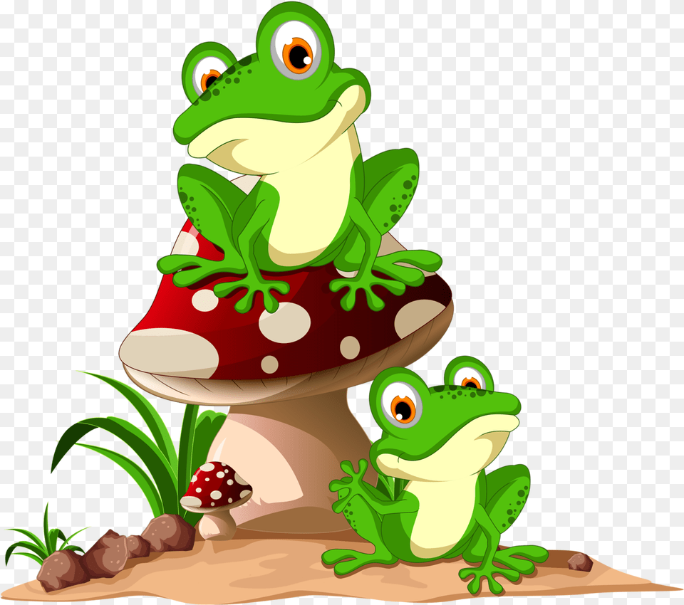 Cute Background Frog Clipart, Amphibian, Animal, Wildlife, Green Free Transparent Png