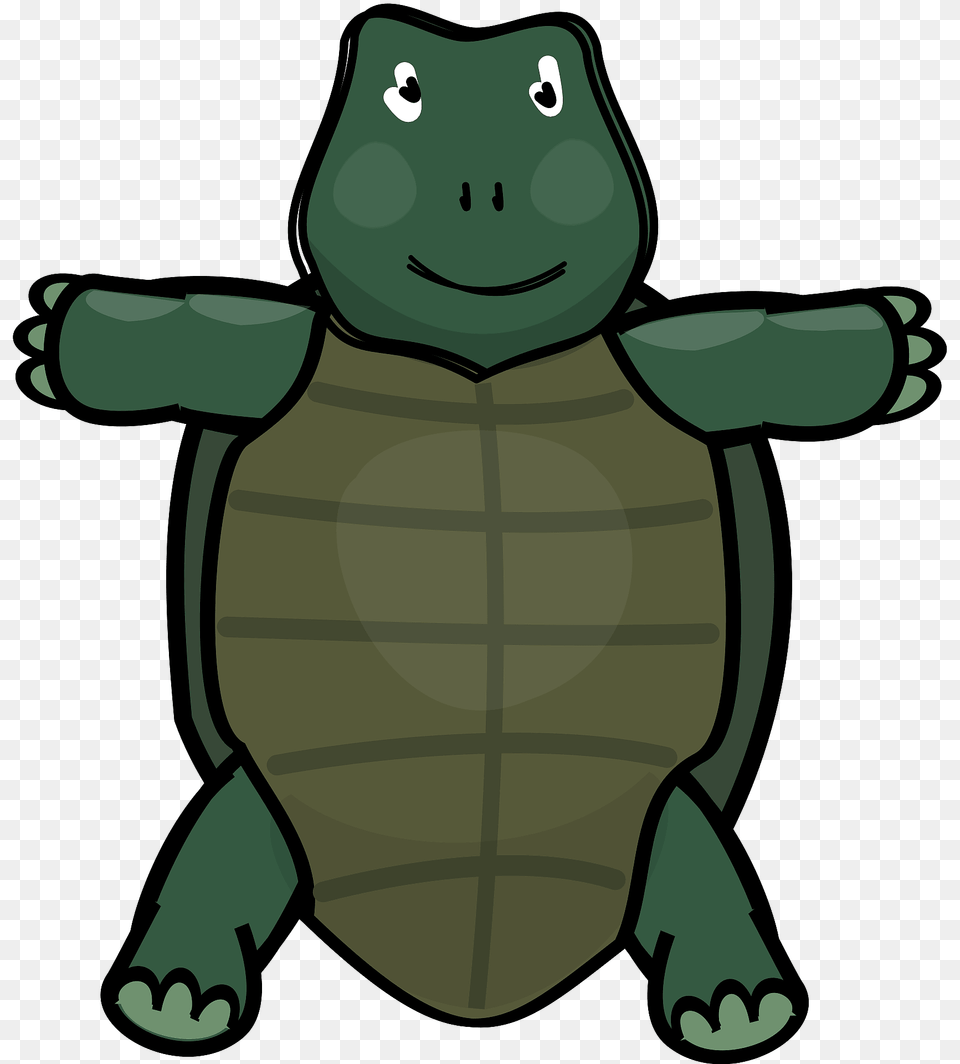 Cute Turtle Clipart, Animal, Reptile, Sea Life, Tortoise Png Image